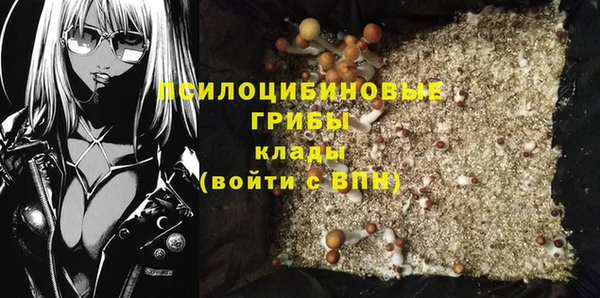 синтетический гашиш Алексин